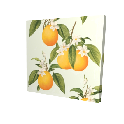 Suspended oranges