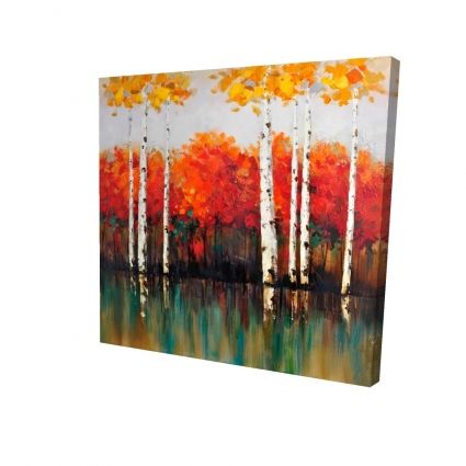 Bouleaux en automne