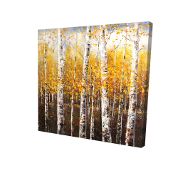 Canvas 48 x 48 - 3D - Birches by sunny day