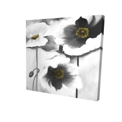 Black and white flowers
