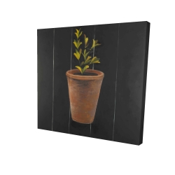 Canvas 24 x 24 - 3D - Plant of marjolaine