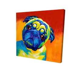 Curious pug