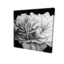 Beautiful black and white flower