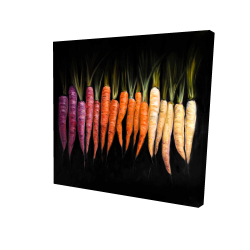 Carottes colorées