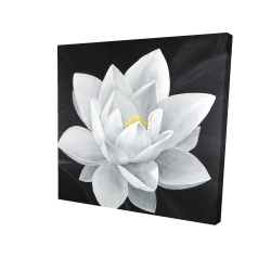 Overhead view of a lotus flower