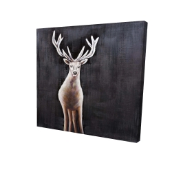 Lonely deer