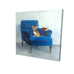 Chihuahua on a blue armchair