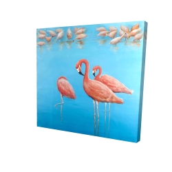 Group of flamingos