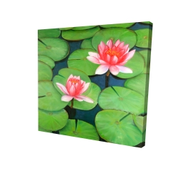 Canvas 24 x 24 - 3D - Lotus flowers in a swamp