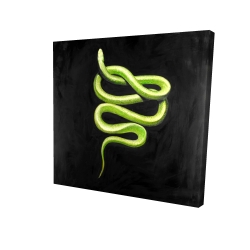 Canvas 36 x 36 - 3D - Green snake