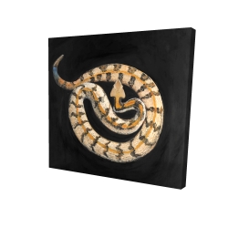 Southern timber rattlesnake