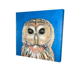 Canvas 48 x 48 - 3D - Colorful spotted owl