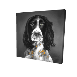 Beautiful english springer spaniel