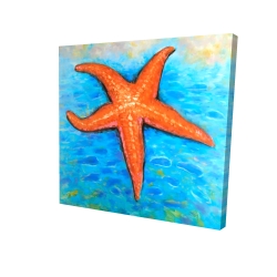 Starfish in the sea