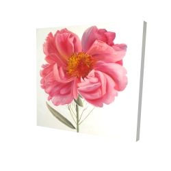Canvas 48 x 48 - 3D - Pink peony flower