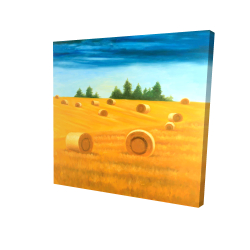 Paysage de la campagne