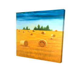 Canvas 48 x 48 - 3D - Landscape of the countryside