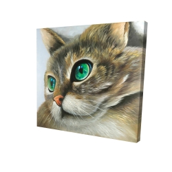 Canvas 24 x 24 - 3D - Peaceful cat portrait