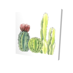 Canvas 36 x 36 - 3D - Four little cactus