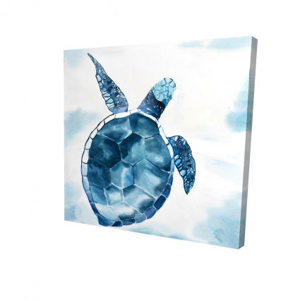 Blue turtle