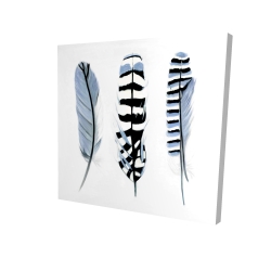 Delicate feathers