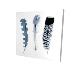 Delicate blue feathers