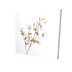 A branch of cotton flowers