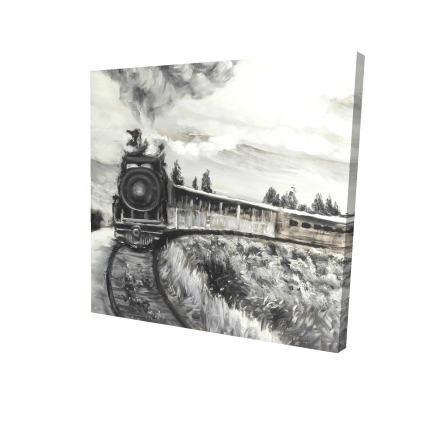 Steam engine train