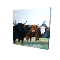 Canvas 24 x 24 - 3D - Four highland cows