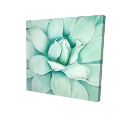 Canvas 48 x 48 - 3D - Succulent closeup