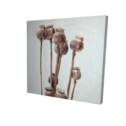Canvas 24 x 24 - 3D - Sepia poppy head plants