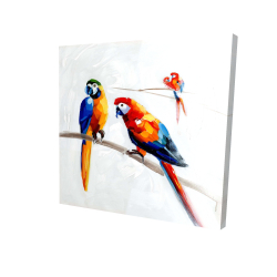 Canvas 24 x 24 - 3D - Parrots on a branch