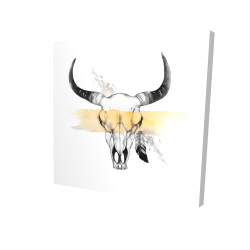 Cow skull with feather