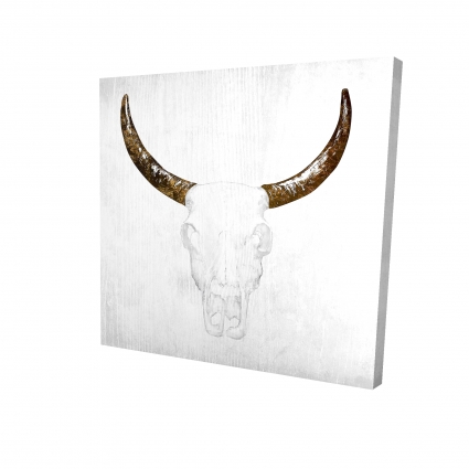 Bull skull with brown horns