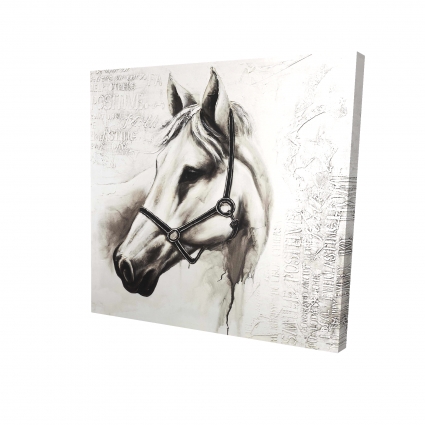 Flicka le cheval blanc