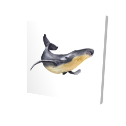 Baleine bleue aquarelle