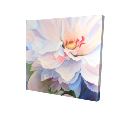 Pastel colored flower