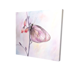 Delicate butterfly
