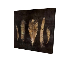 Ensemble de plumes brunes