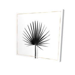 Canvas 24 x 24 - 3D - Cabbage palm leaf with rose lines