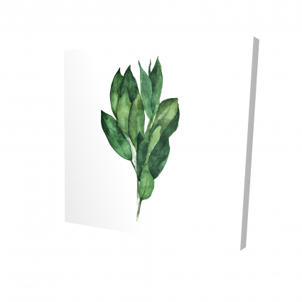 Bouquet de feuilles de laurier