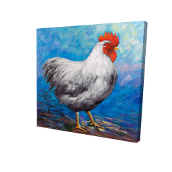 Poule grise