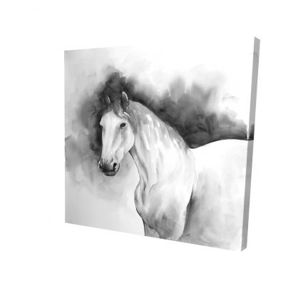 Domino le cheval