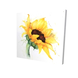 Watercolor sunflower with paint splash