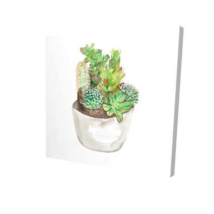 Cactus assortment in a pot