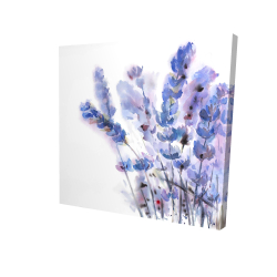 Watercolor lavender flowers