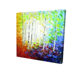 Forêt multicolore