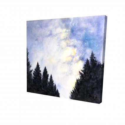 Starry sky in forest
