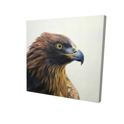 Brown-headed eagle