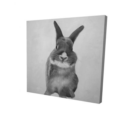 Funny gray rabbit